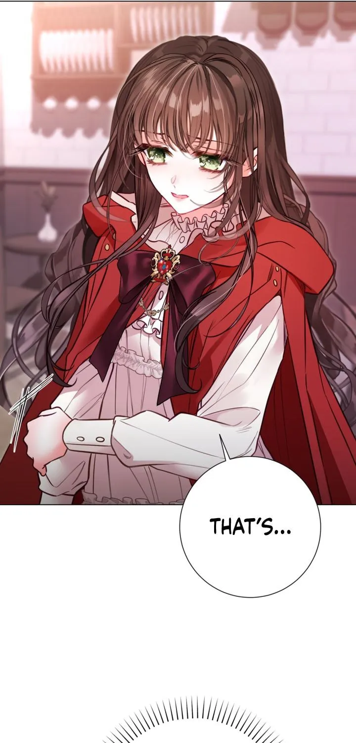 The World Without My Sister Who Everyone Loved Chapter 22 page 41 - 