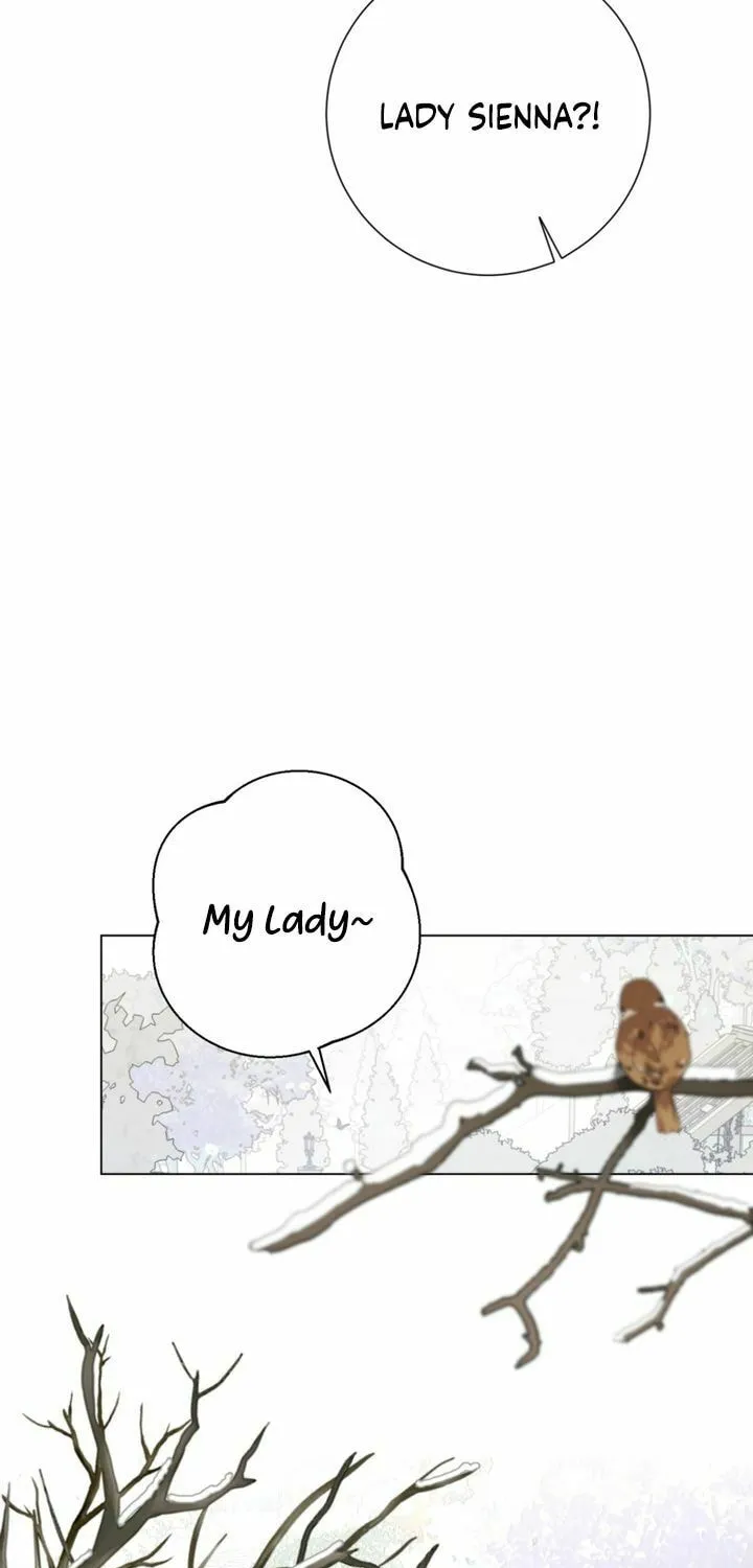The World Without My Sister Who Everyone Loved Chapter 24 page 64 - 