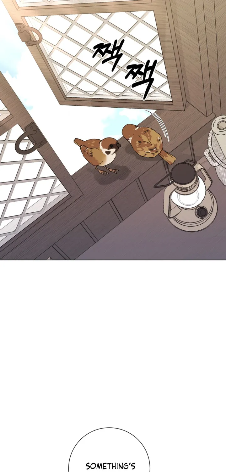 The World Without My Sister Who Everyone Loved Chapter 25 page 47 - 