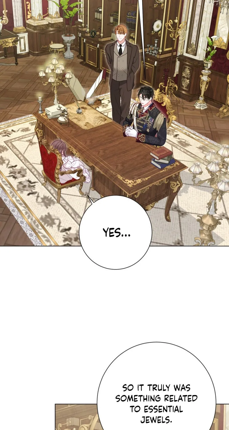 The World Without My Sister Who Everyone Loved Chapter 33 page 73 - 