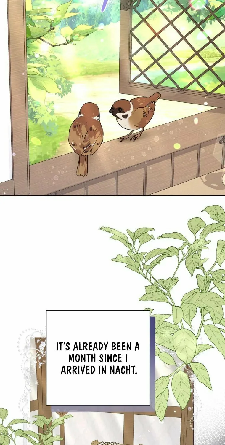 The World Without My Sister Who Everyone Loved Chapter 46 page 32 - 