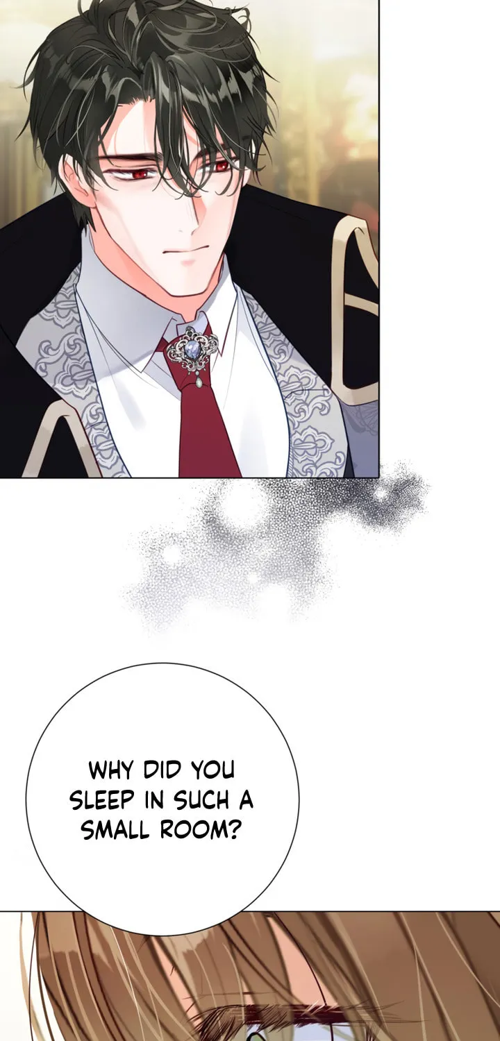 The World Without My Sister Who Everyone Loved Chapter 8 page 24 - 