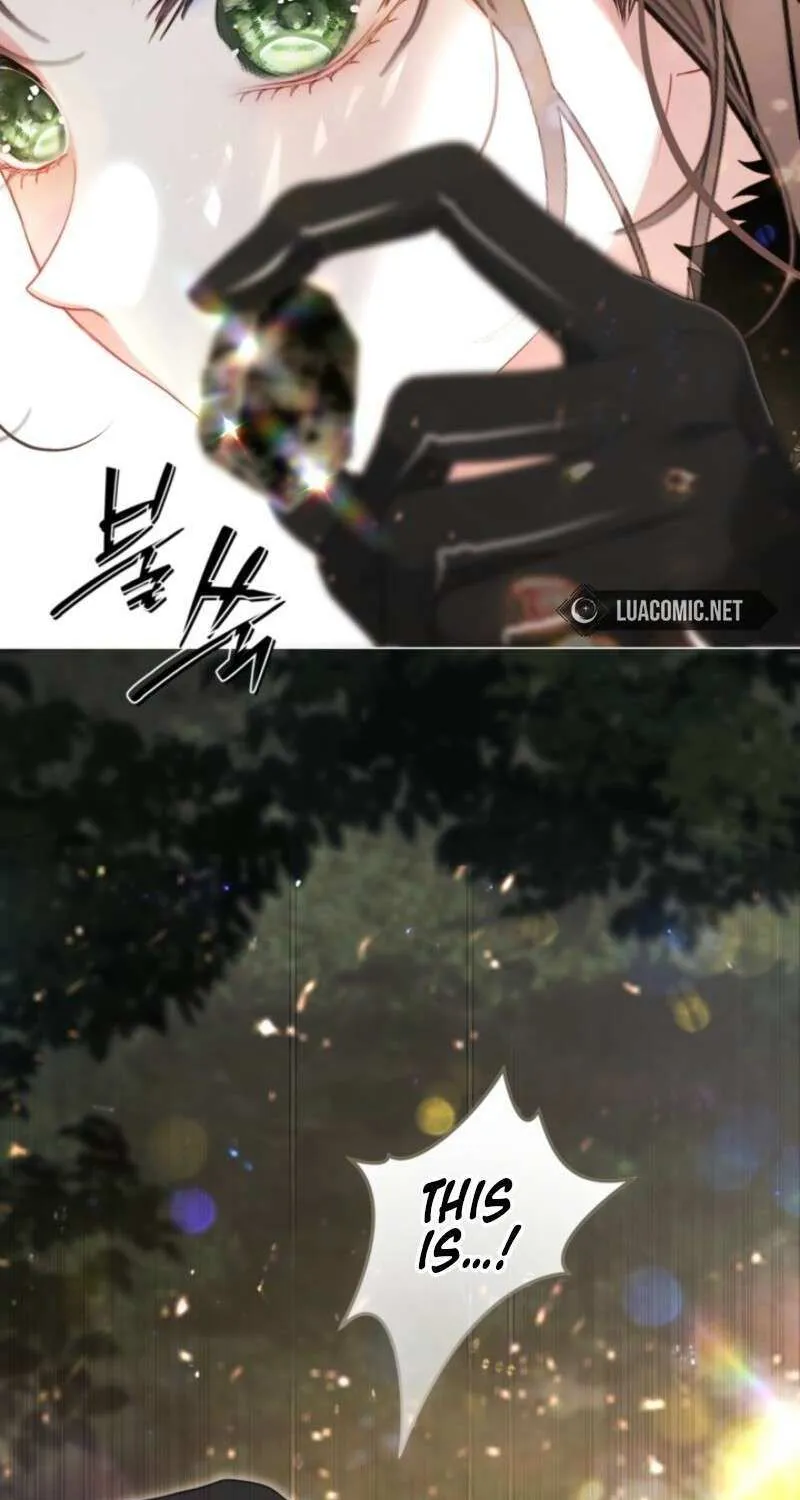 The World Without My Sister Who Everyone Loved Chapter 95 page 5 - 