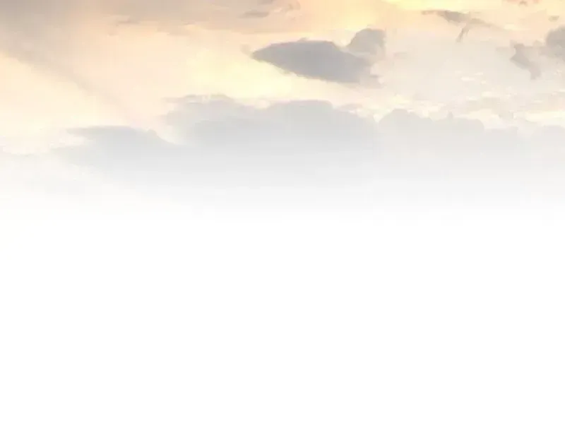 The World