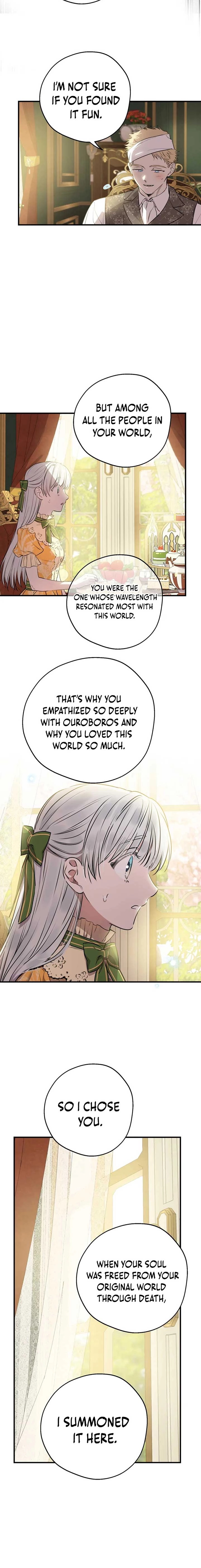 The World