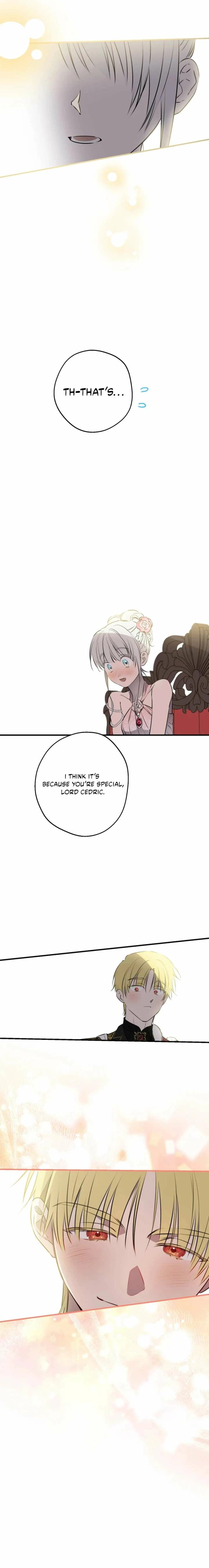 The World