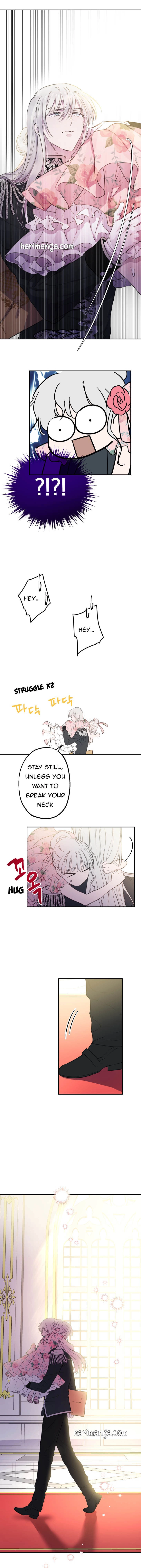 The World