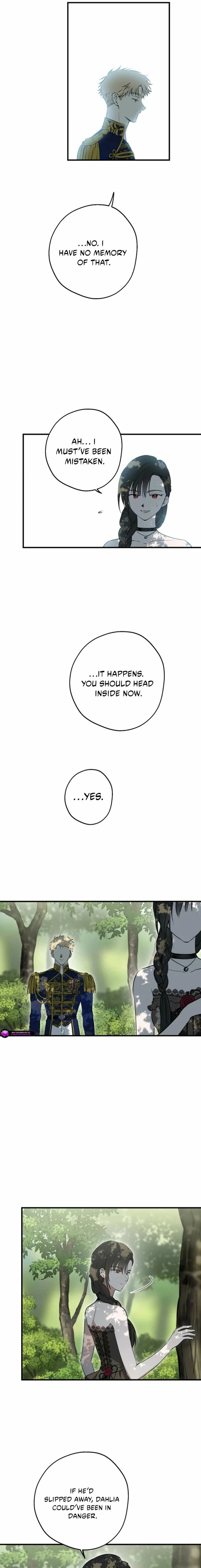 The World