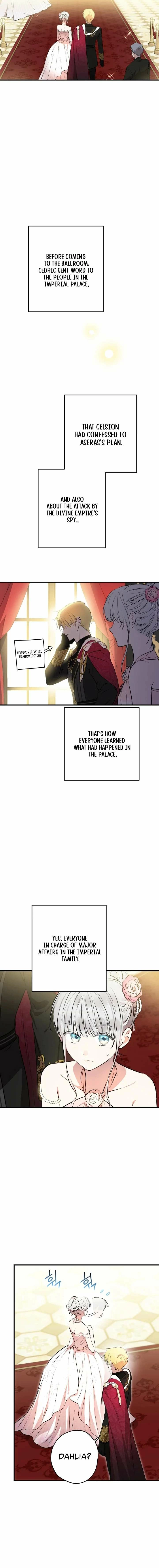 The World