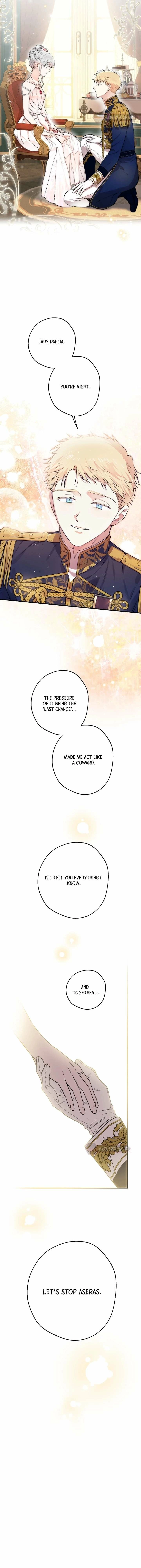 The World