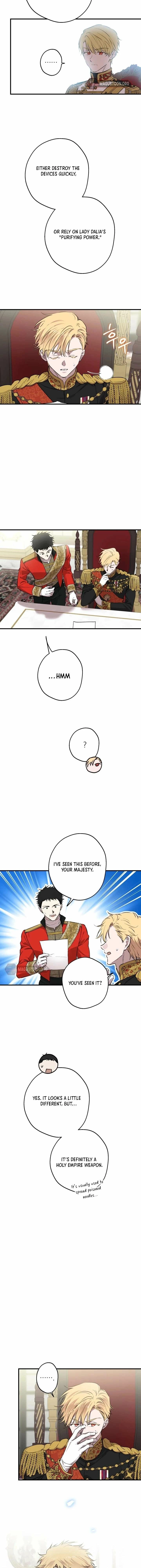 The World