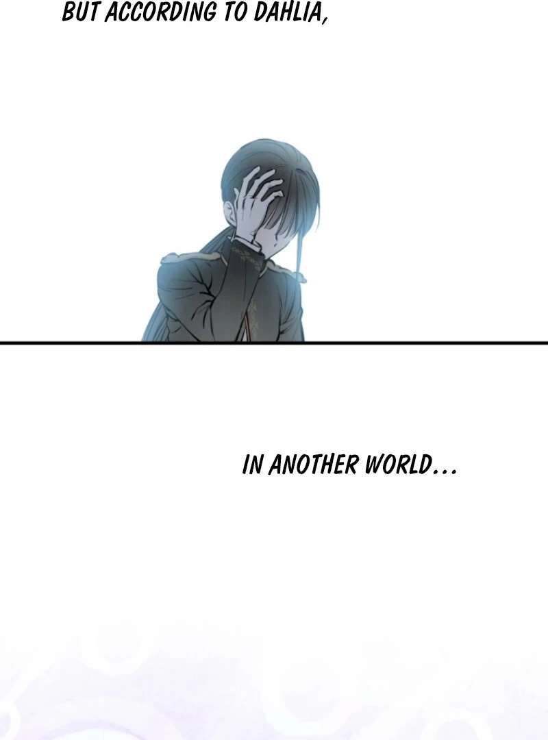 The World
