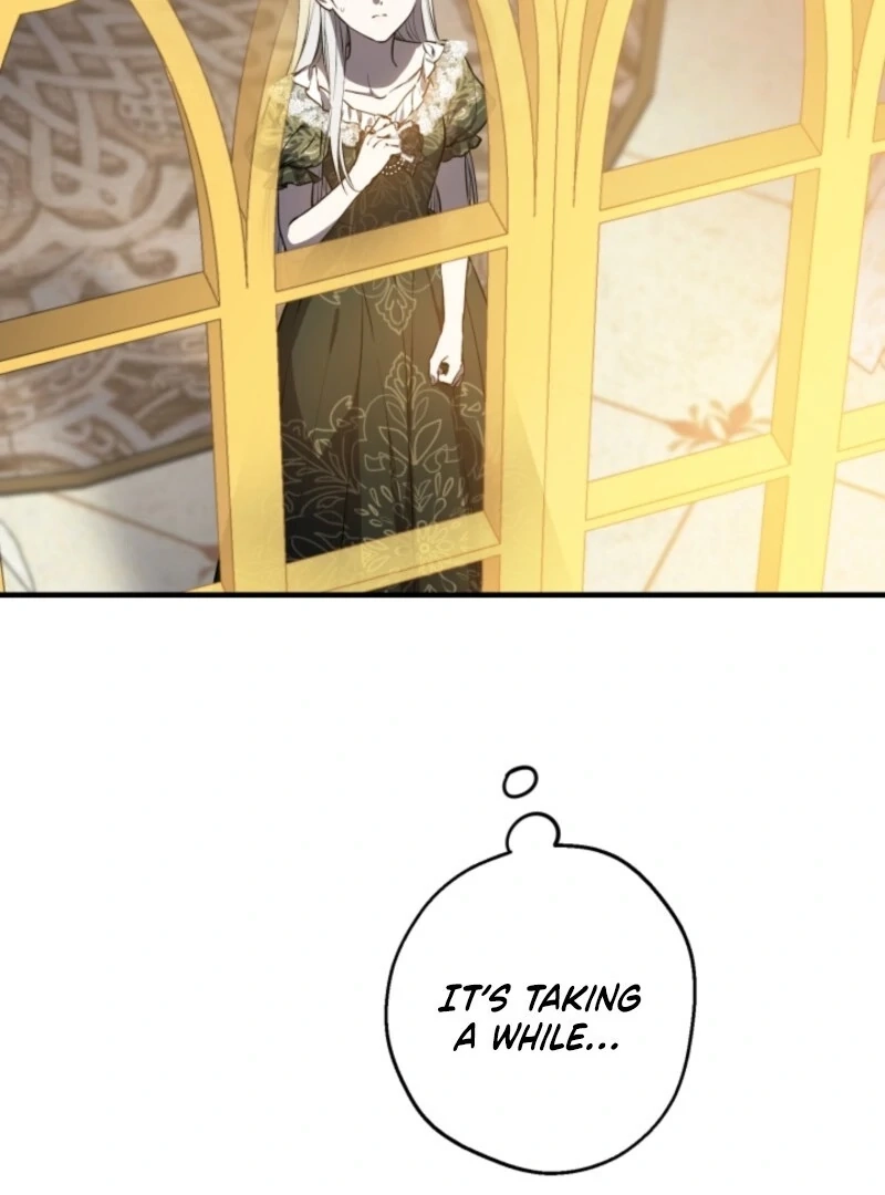 The World