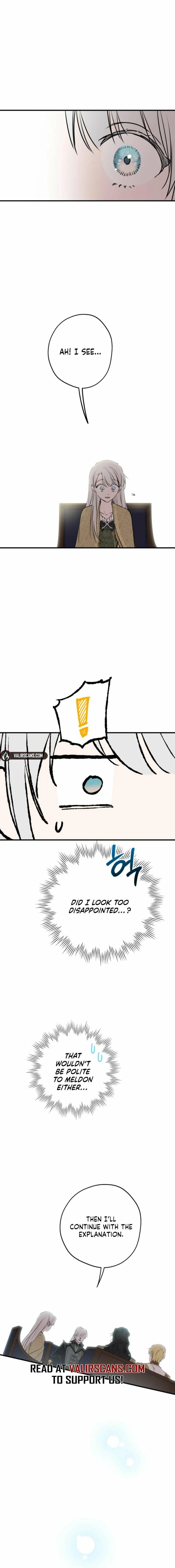 The World
