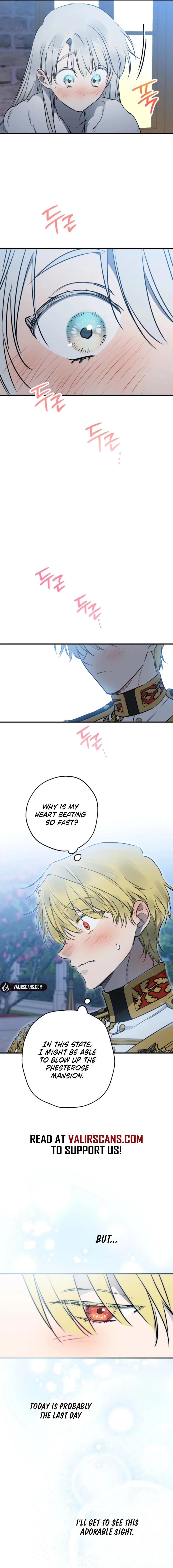 The World