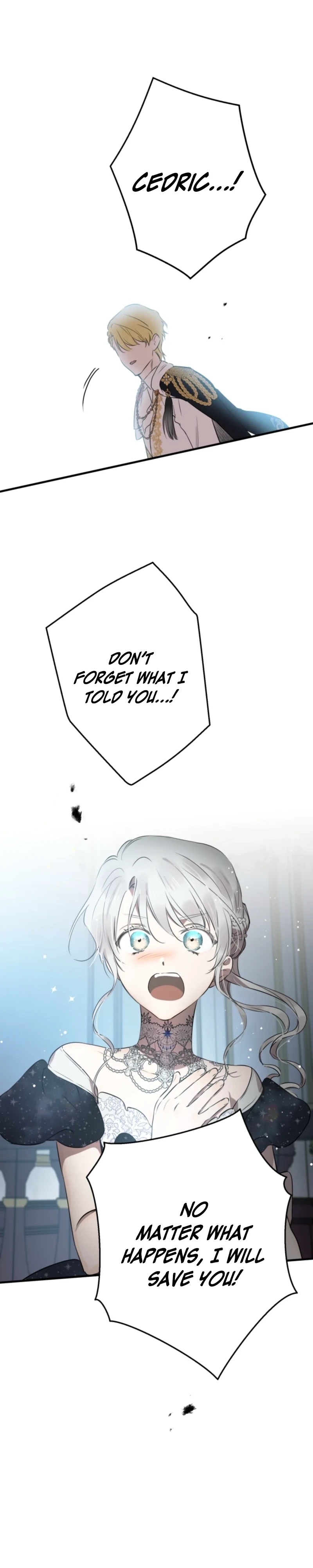 The World