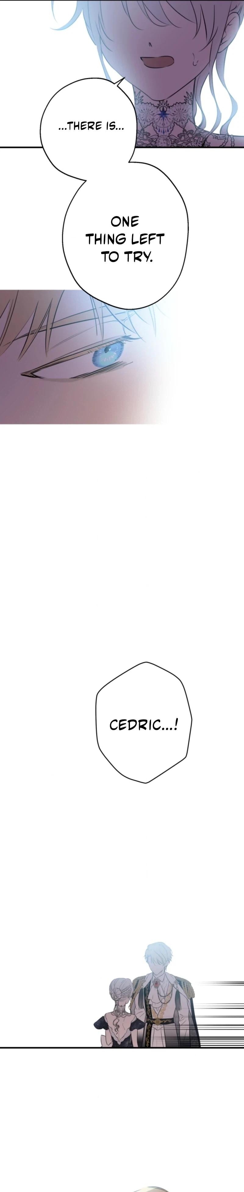 The World