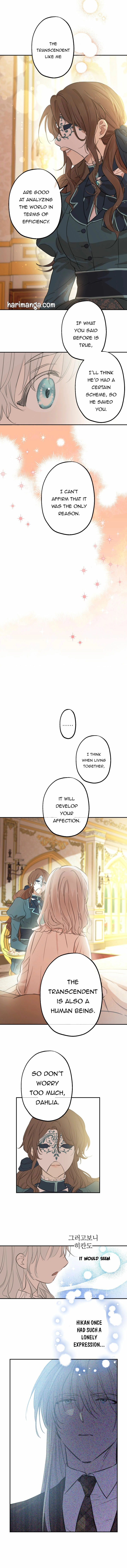 The World
