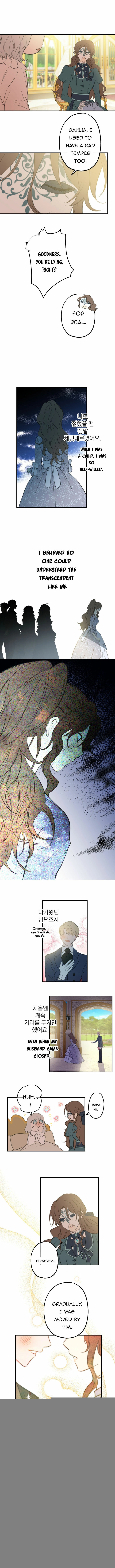 The World