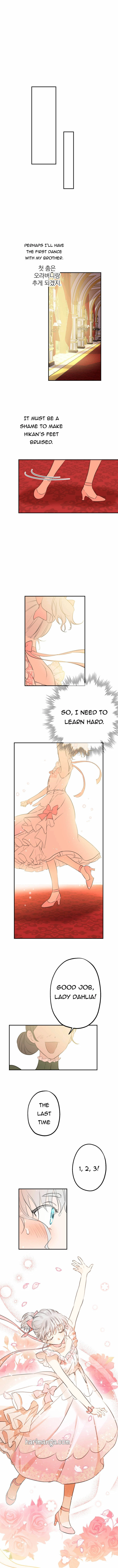 The World