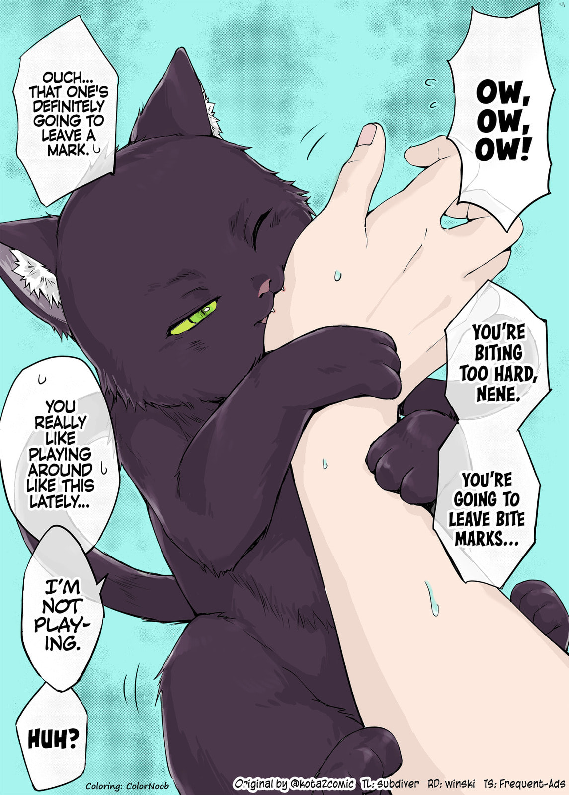 The Yandere Pet Cat is Overly Domineering Chapter 10 page 1 - 