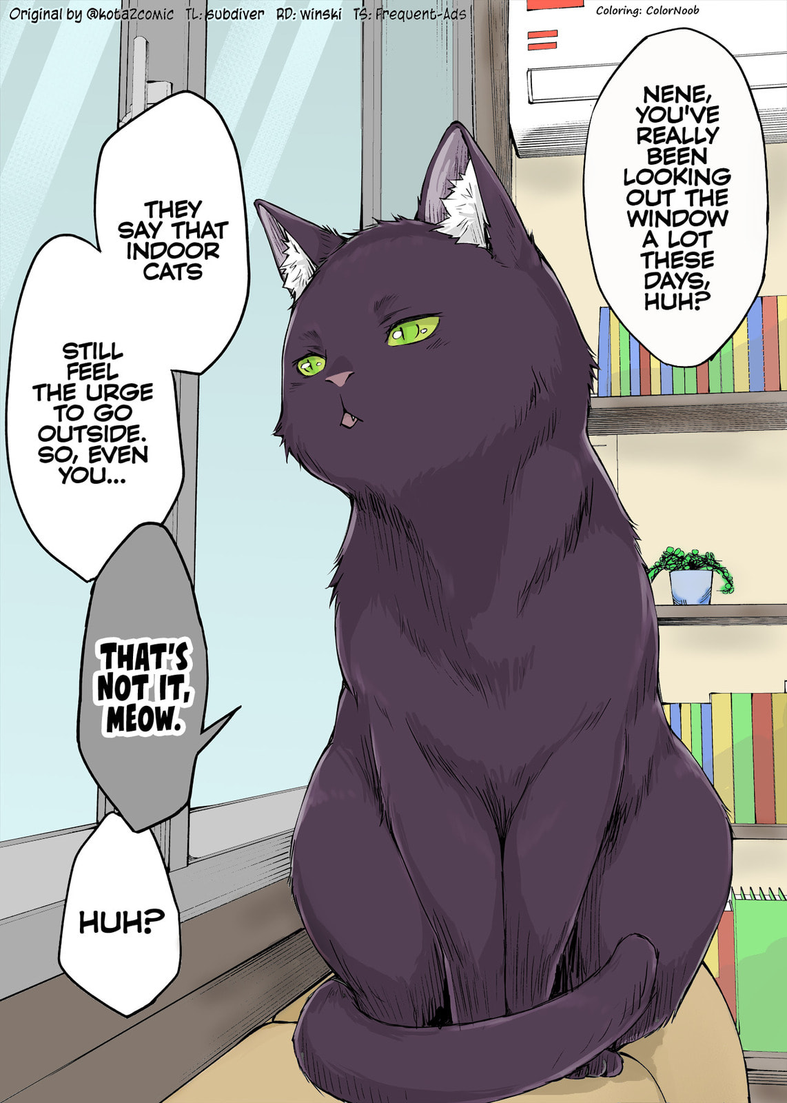 The Yandere Pet Cat is Overly Domineering Chapter 11 page 1 - 