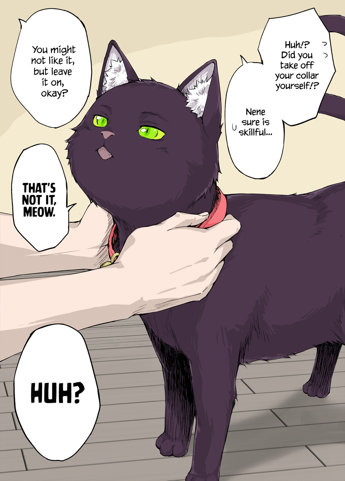 The Yandere Pet Cat is Overly Domineering Chapter 12 page 1 - 