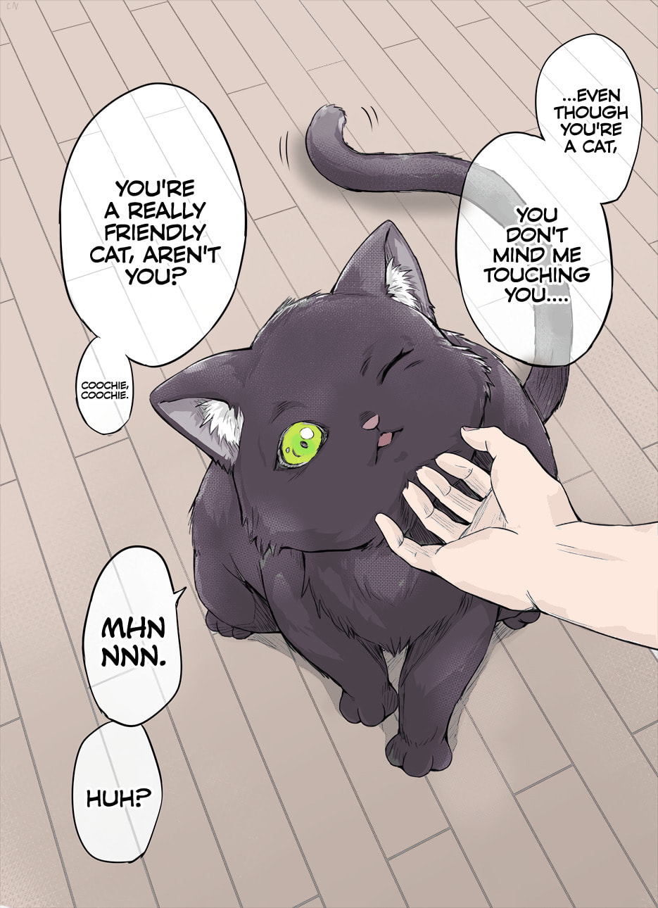 The Yandere Pet Cat is Overly Domineering Chapter 2 page 1 - 