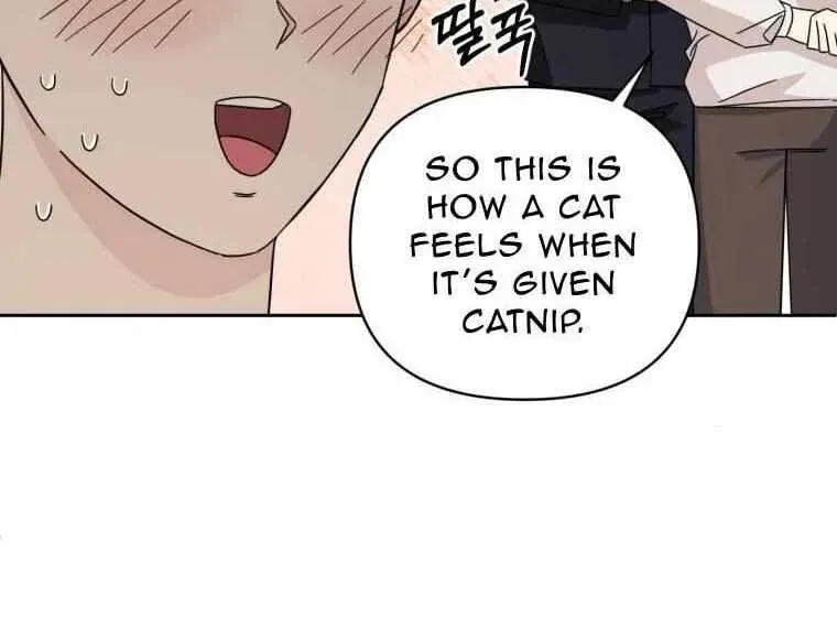 The Yandere Top