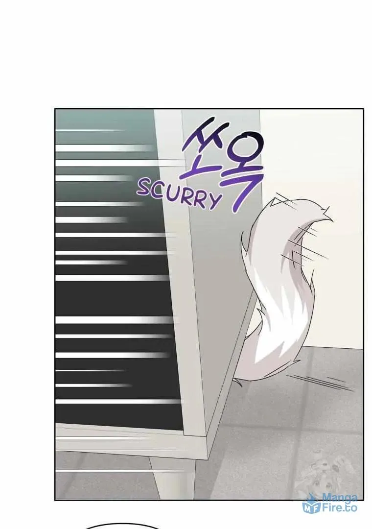 The Yandere Top