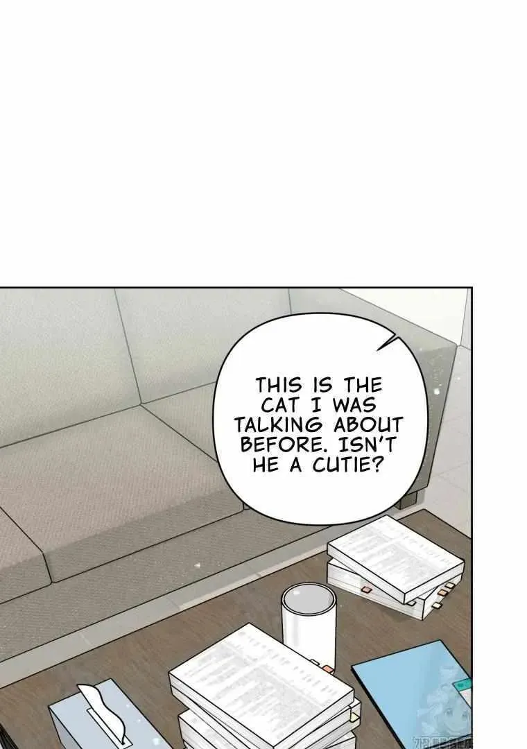 The Yandere Top
