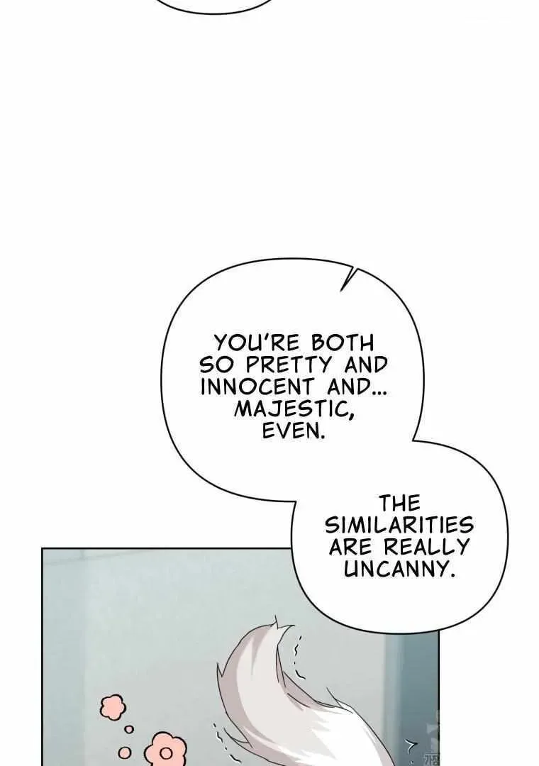 The Yandere Top
