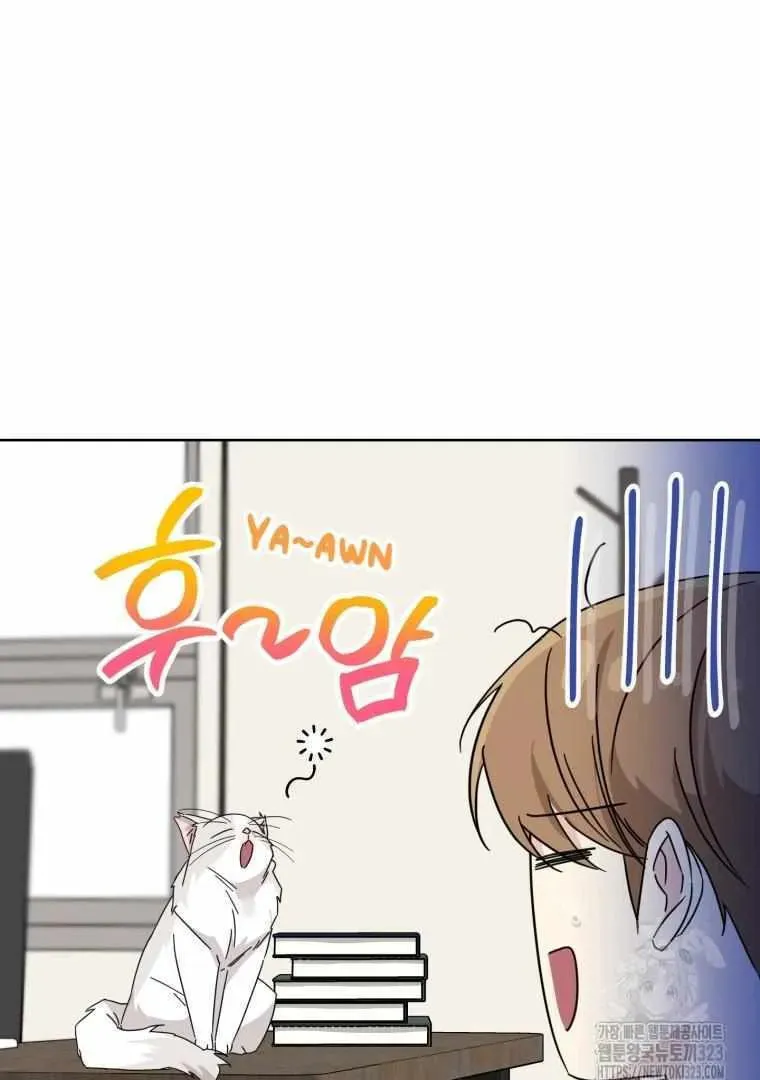 The Yandere Top