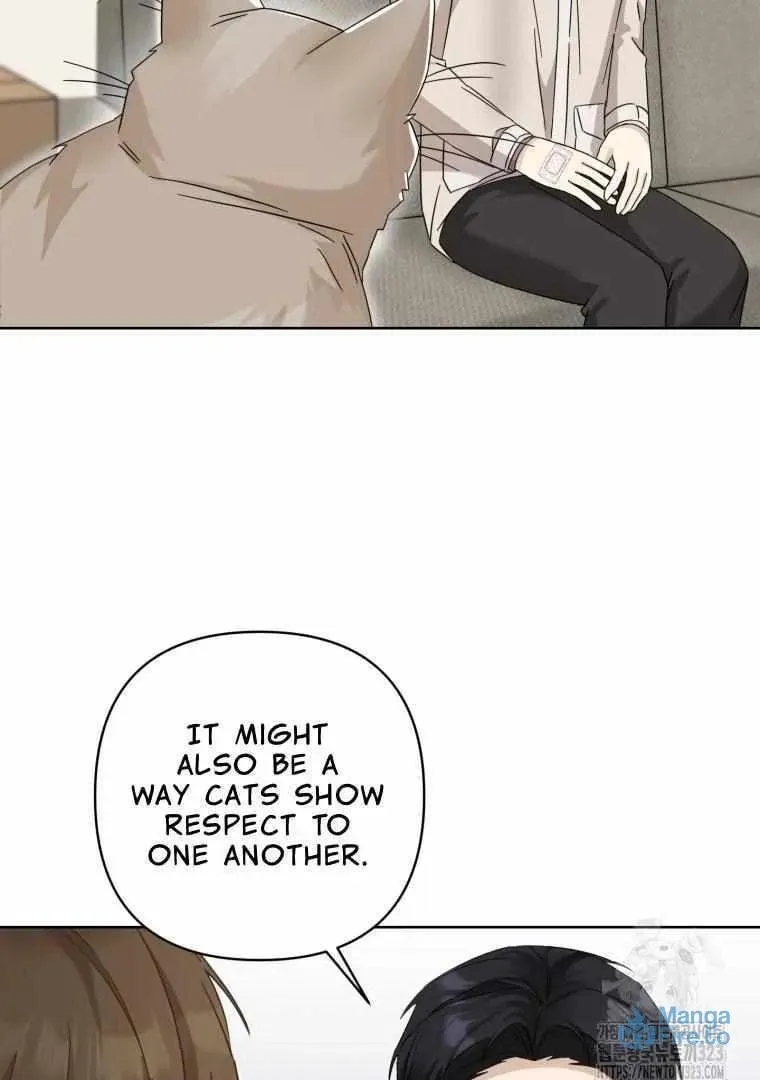 The Yandere Top