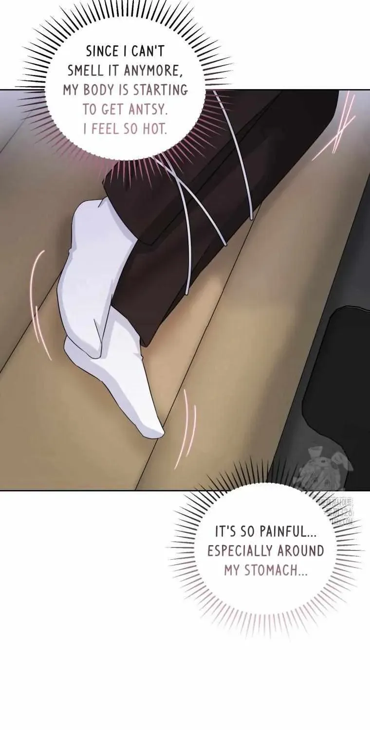 The Yandere Top