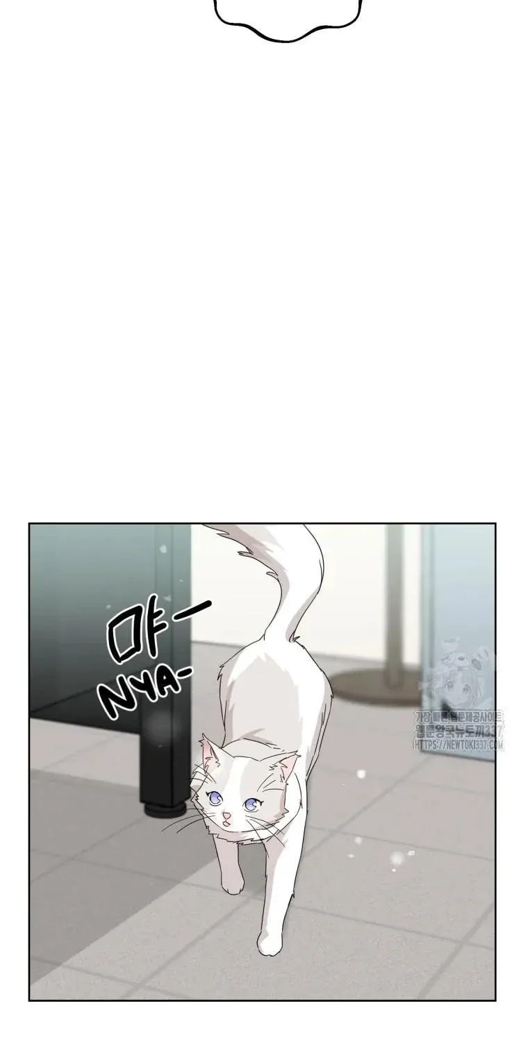 The Yandere Top
