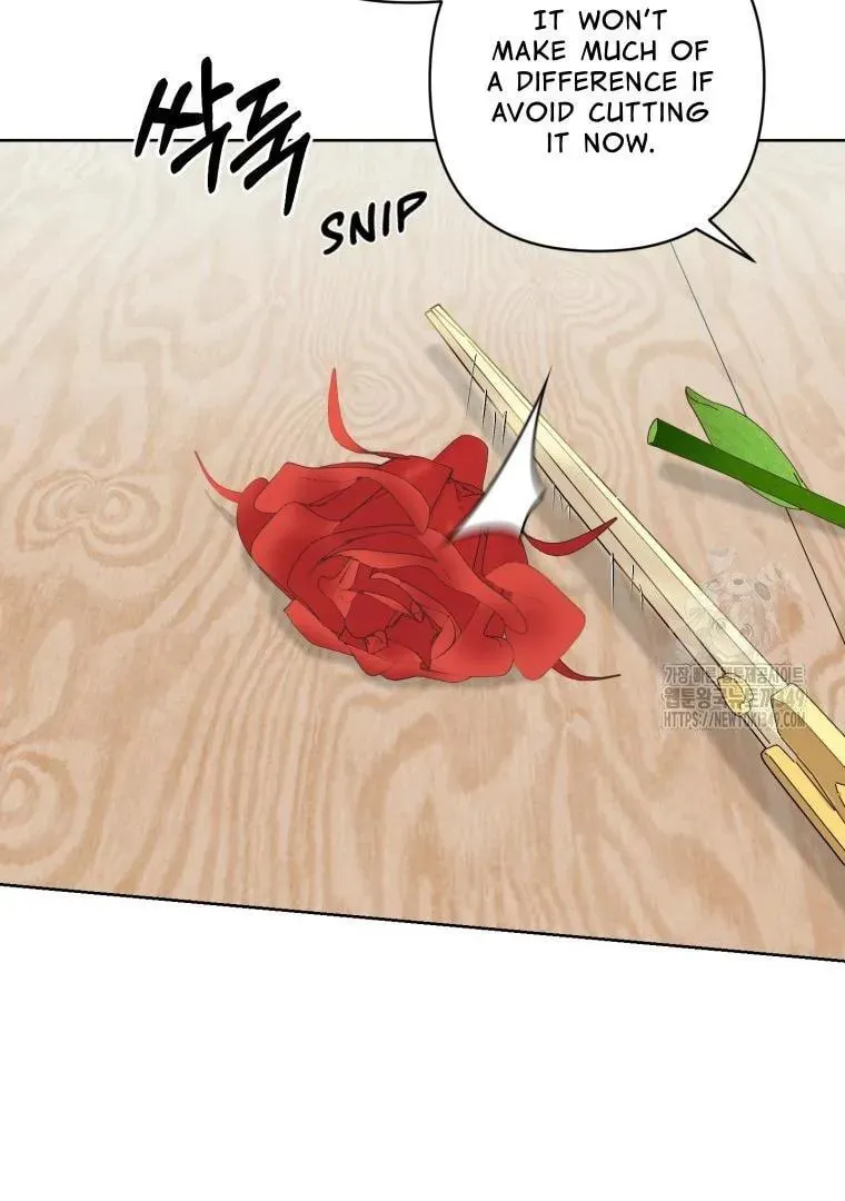 The Yandere Top