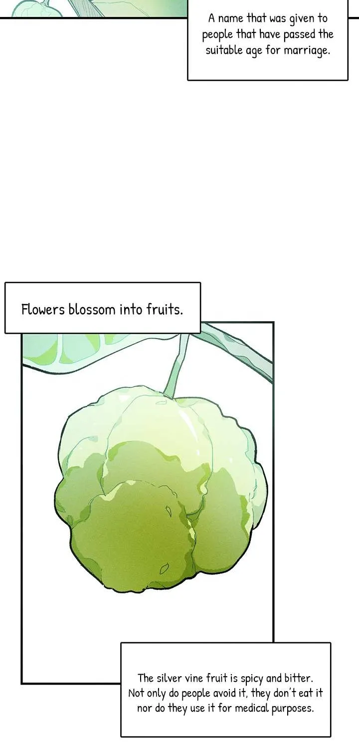 The Young Lady Is A Royal Chef Chapter 12 page 42 - 