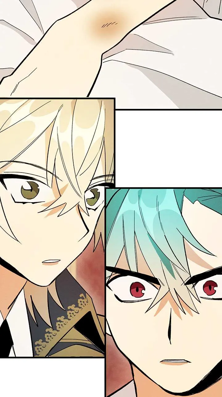 The Young Lady Is A Royal Chef Chapter 15 page 56 - 