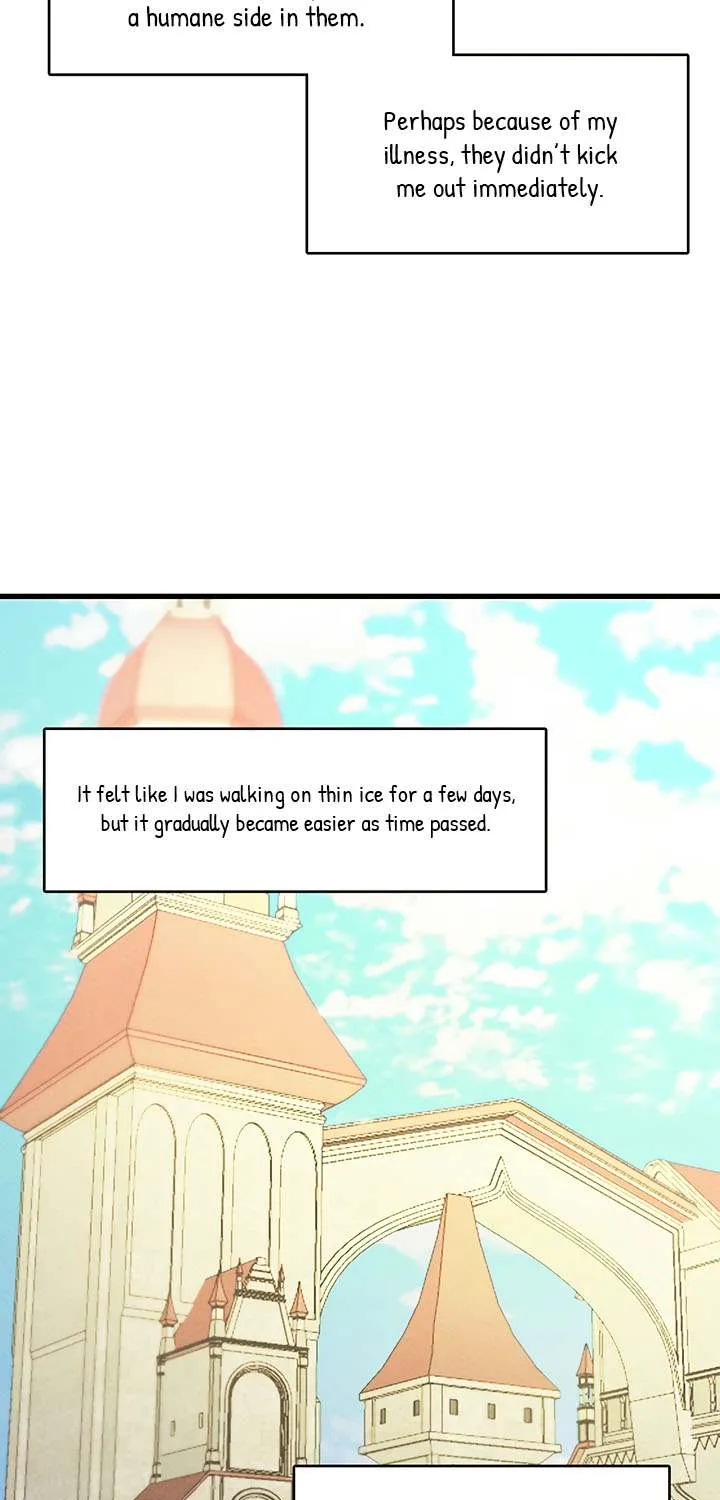 The Young Lady Is A Royal Chef Chapter 16 page 30 - 