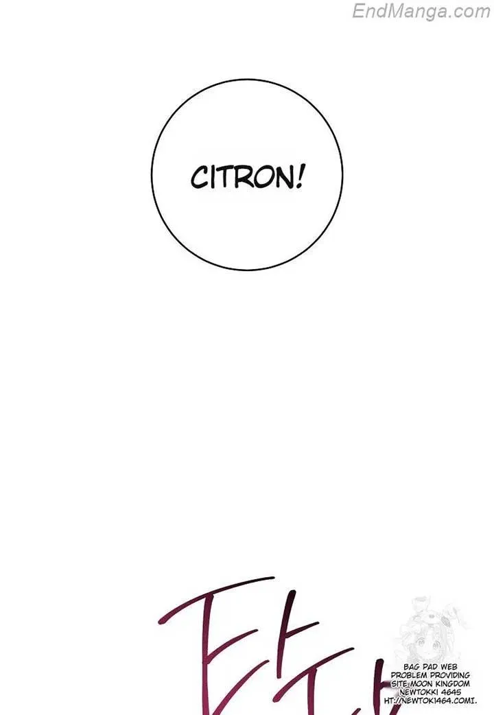 The Young Lady Is A Royal Chef Chapter 160 page 83 - 