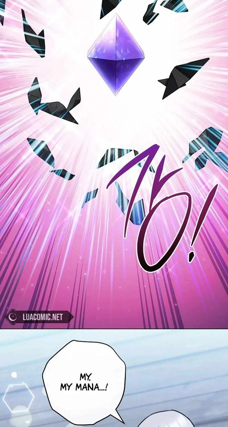 The Young Lady Is A Royal Chef Chapter 163 page 102 - 
