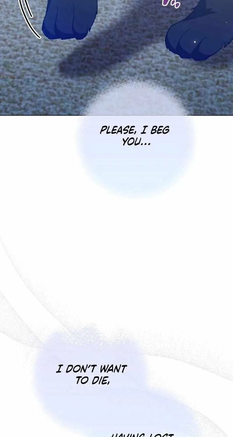 The Young Lady Is A Royal Chef Chapter 163 page 89 - 