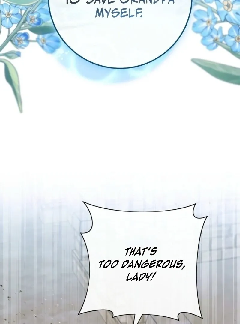 The Young Lady Is A Royal Chef Chapter 179 page 41 - 