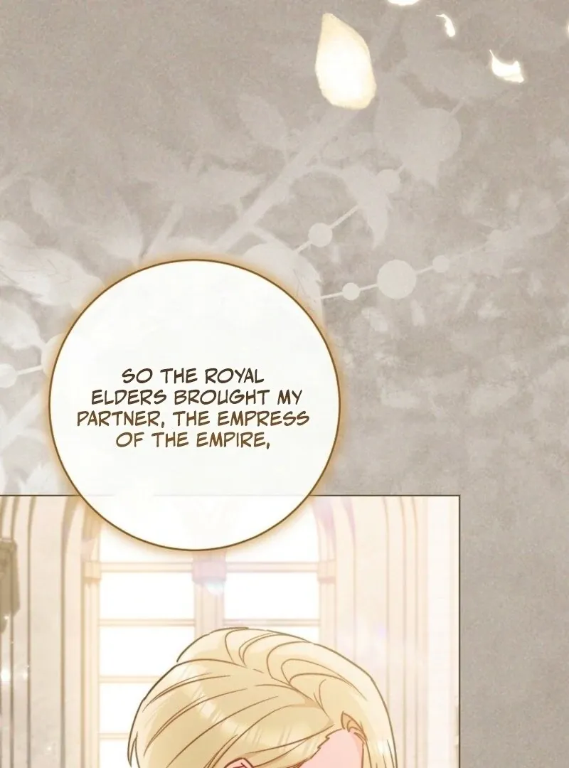 The Young Lady Is A Royal Chef Chapter 189 page 21 - 