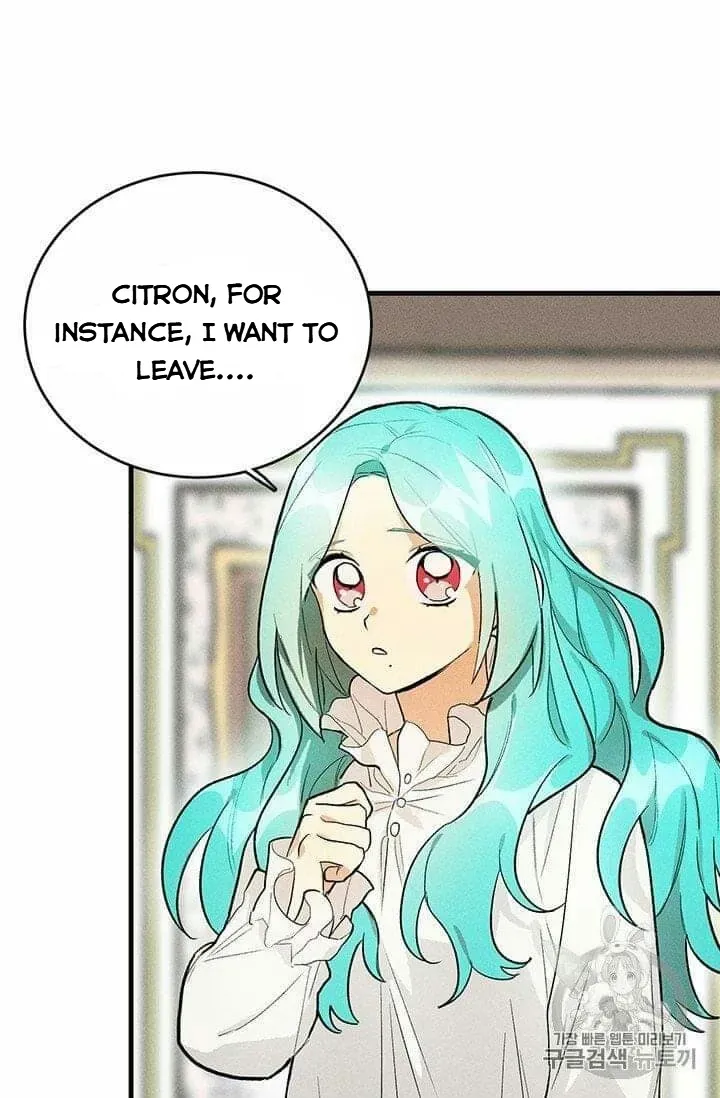 The Young Lady Is A Royal Chef Chapter 19.1 page 28 - 