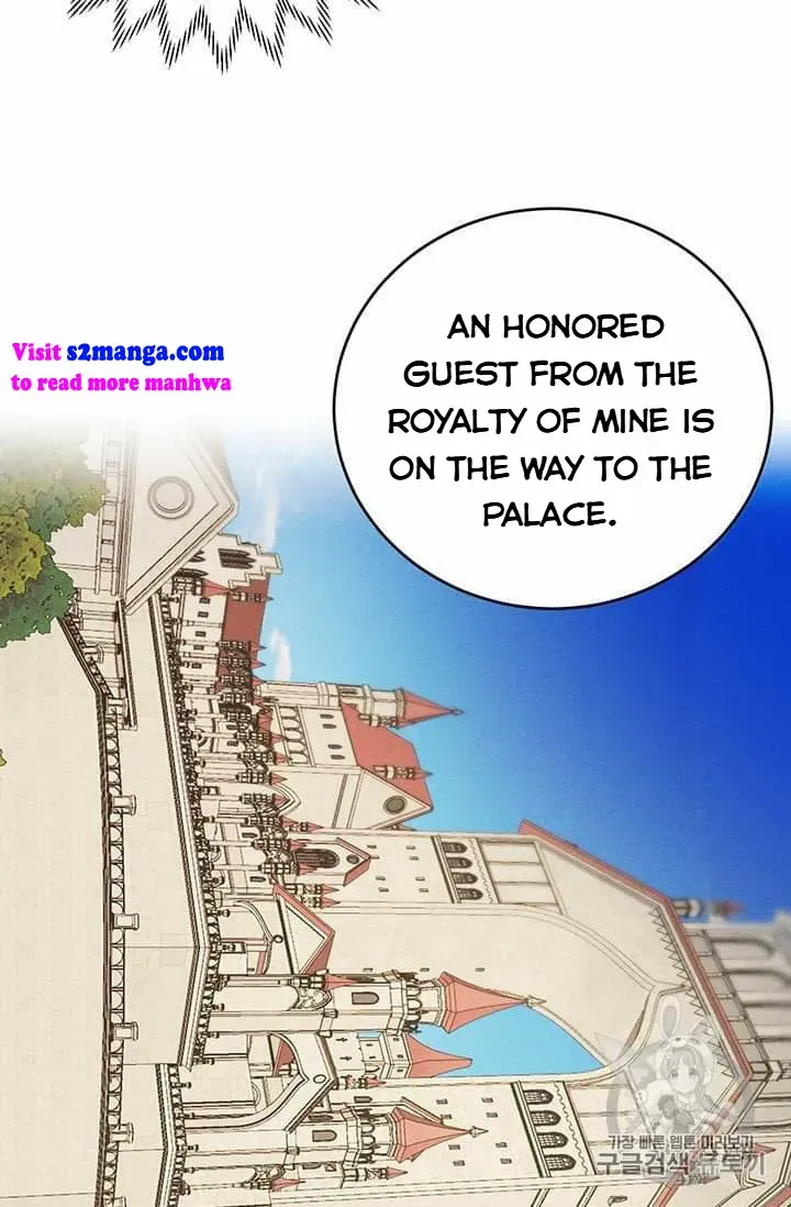The Young Lady Is A Royal Chef Chapter 19.5 page 33 - 