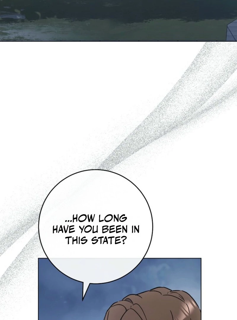The Young Lady Is A Royal Chef Chapter 196 page 19 - 