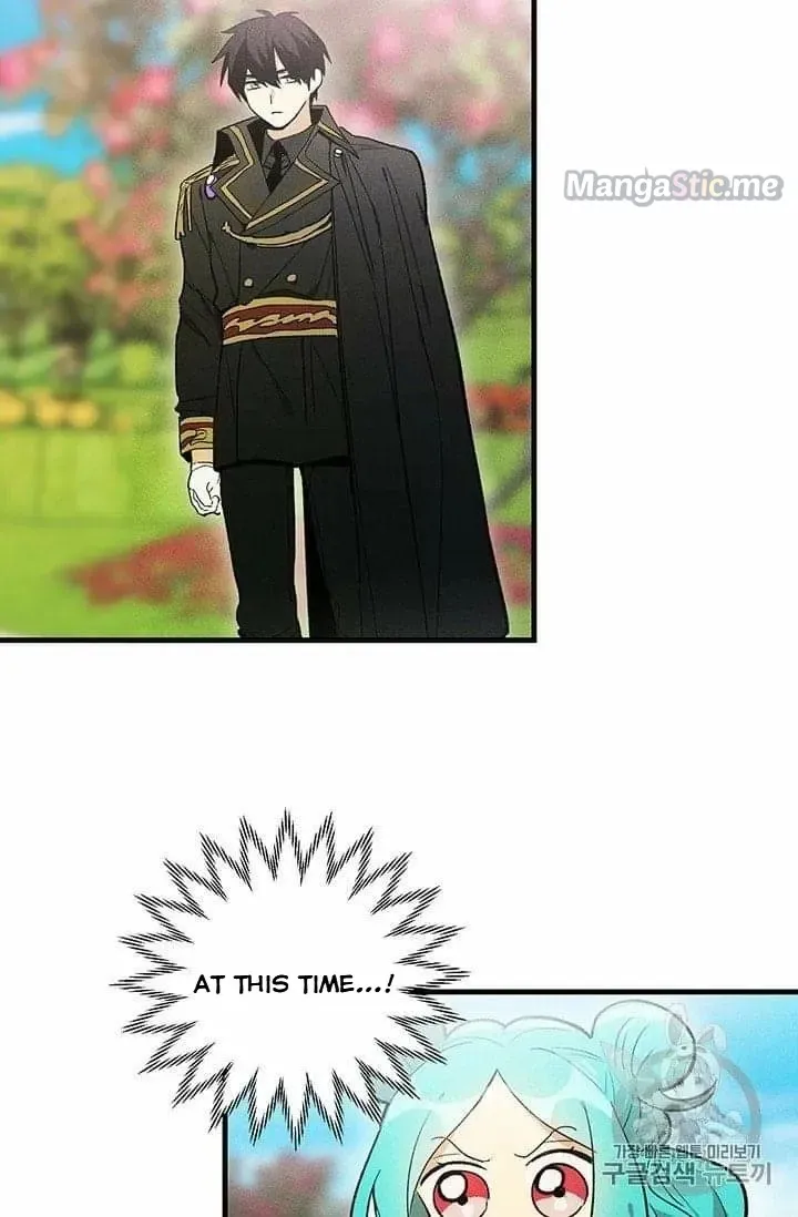 The Young Lady Is A Royal Chef Chapter 20.5 page 31 - 
