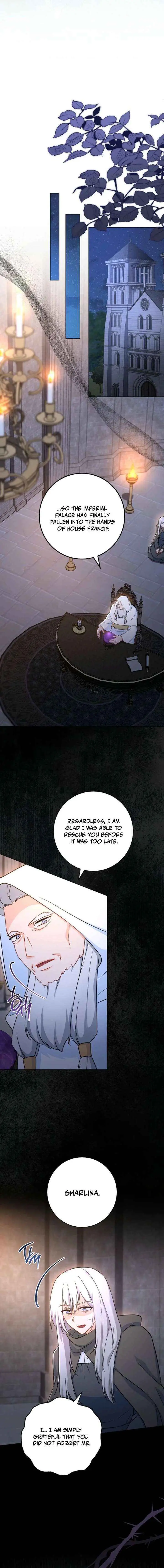 The Young Lady Is A Royal Chef Chapter 213 page 19 - 
